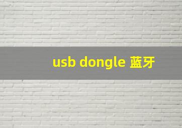 usb dongle 蓝牙